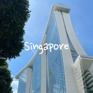 싱가포르 주요 관광지를 무제한 방문 가능한 빅 버스 투어 예매 방법, 가격, 노선 정리