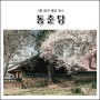 대전 3월 가볼만한곳 매화꽃명소 동춘당