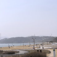 남양주 가볼만한곳 한강공원 삼패지구 스타벅스 피크닉 장소 추천