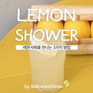 레몬의 끝을 만날 수 있는 비법믹서 '레몬 샤워'를 만나는 3가지 방법(리틀 스탠드 레몽)