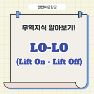 LO-LO (Lift On-Lift On) 방식이란 무엇일까요?