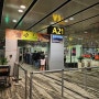 싱가포르 여행. 동방항공편으로 상하이 푸동 공항 경유 방법과 항공권 가격