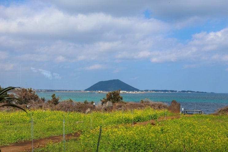 제주 성산일출봉 근처 가볼만한곳 및 제주도 동쪽 여행코스...