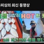 목포도다리낚시 유튜버 만쿨님이 VIP다녀간 생생후기 동영상!