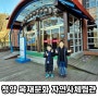 대전 근교 아이들과 가볼만한곳 2탄 - 청양 목재 문화 자연사 체험관 아이들이 놀기 좋은 천국같은곳!!