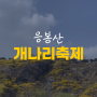 서울 3월 응봉산 개나리축제 주차 행사 정보