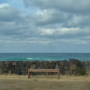 240226_제주도 여행 3일차(명월국민학교)