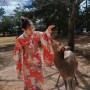 아이랑 오사카 여행 : 기모노입고 나라 사슴공원에서 놀기[사쿠라기모노교토 후기]
