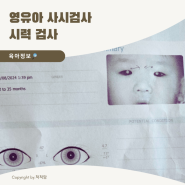 아기 사시 검사 방법 비용 결과 (22개월 눈검진)