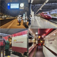 유럽 기차 예매 유로스타 1등석 예약 네덜란드 벨기에 이동 Eurostar