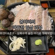 [안산 상록수역 술집] 어람회센타 - 상록수 먹자골목 회 맛집 추천 ! 💛