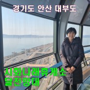 서울근교 드라이브 코스 안산 대부도 시화나래휴게소 달전망대 시화나래공원
