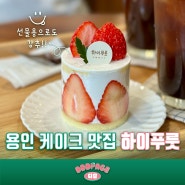 용인 처인구 | 디저트 맛집 수제 케이크전문점 카페 하이푸릇 후기 (feat. 케이크 포장 선물)