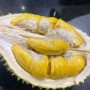 두리안 시즌아니어도 최상의 품질 먹을 수 있는 쿠알라룸푸르 SS2 durianman 🎖️