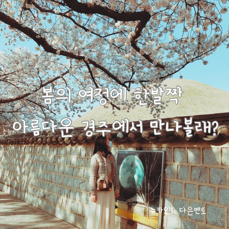 벚꽃과 함께 봄날의 향기를 느낄 수 있는 경주에서 호캉스 할 수 있는 숙소 고르기 : 네이버 블로그