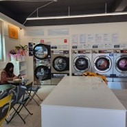 현명한 창업 투자 24시 코인세탁방을 시작하는 방법