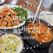 경기 평택 고덕 I 송탄 로컬 맛집 불난버섯집