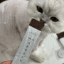 고양이영양제 :: 샤프리슈 스틱 :: 전연령 급여 가능한 기호성 좋은 영양만점 관절 영양제