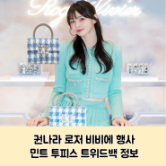 권나라 민트 투피스 로저 비비에 행사 패션 정보 클러치백 가격