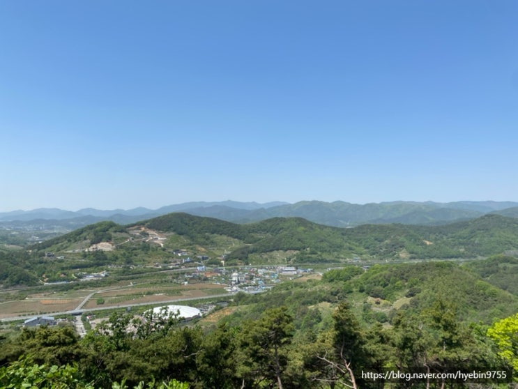 곳 청도 여행 코스 루지-소싸움경기장-와인터널 비용 정보 주차