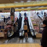 요코하마역 상점가 둘러보기