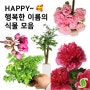 국제 행복의 날, '행복'한 식물 모음🥰 모두 행복하세요~!