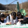 [안동사랑][안동 임하초=경북온포토] 춘분(春分)인 3월에 눈사람 만들어 보는 안동임하초등학교 어린이들