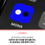 사용자의 정보 보호를 위한 철통 보안, 모나(MONA) 비밀 메시지 서비스