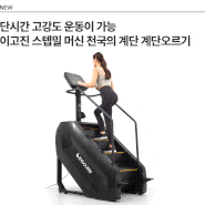 [NEW]힘들기로 악명 높은 계단 운동 기구 '천국의 계단' 이고진 스텝밀 머신 출시