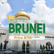 2024 - 브루나이(BRUNEI) 리조트 다이빙(4박5일)+지상여행 패키지 투어(추가 옵션)(시작일: 2024.04.21~)