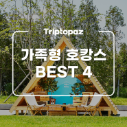 24시간이 모자라~ 부산 속초 경주 인천 가족 봄나들이 여행 호텔 숙소 추천!