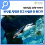 🌊 국립대구과학관 재미있는 과학 이야기 : 바닷물, 펭귄은 되고 사람은 안 된다?!