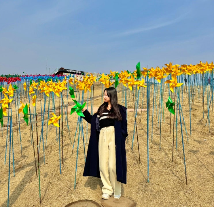 파주 임진각 평화누리공원 DMZ 임진각 케이블카 곤돌라 주차장 : 네이버 블로그