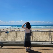 여자 혼자 9박11일 호주여행 - 골드코스트 마지막날 Surfers Paradise Beach / Ben&Jerry's 아이스크림 / Olive coffee 카페
