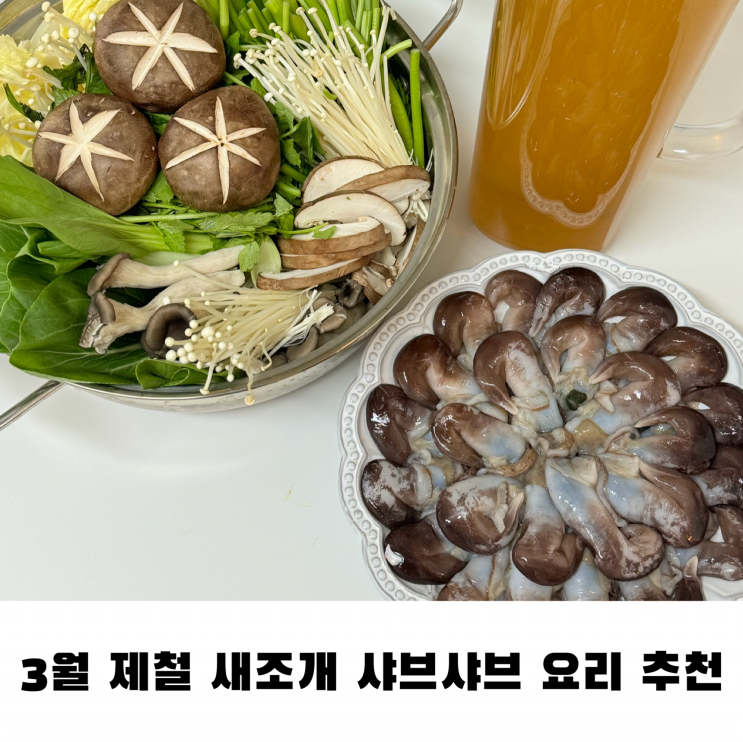 3월 제철 음식 새조개 샤브샤브 요리 재료 소스 육수 만들기 손질 새조개 구매처 추천 집들이요리 추천 : 네이버 블로그
