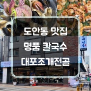 대전 도안동칼국수 점심 맛집 대포조개전골