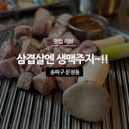 문정동 맛집 친구네 연탄집 생맥주 파는 고기집