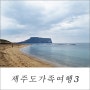 제주도 가족여행 마지막 날 제주 올레길 4코스 광치기해변 동문시장