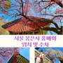 봉은사 홍매화 위치 미륵대불, 서울 템플스테이 주차