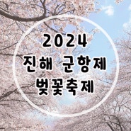 2024 진해 군항제 벚꽃축제 주차 일정 행사 개화 정보