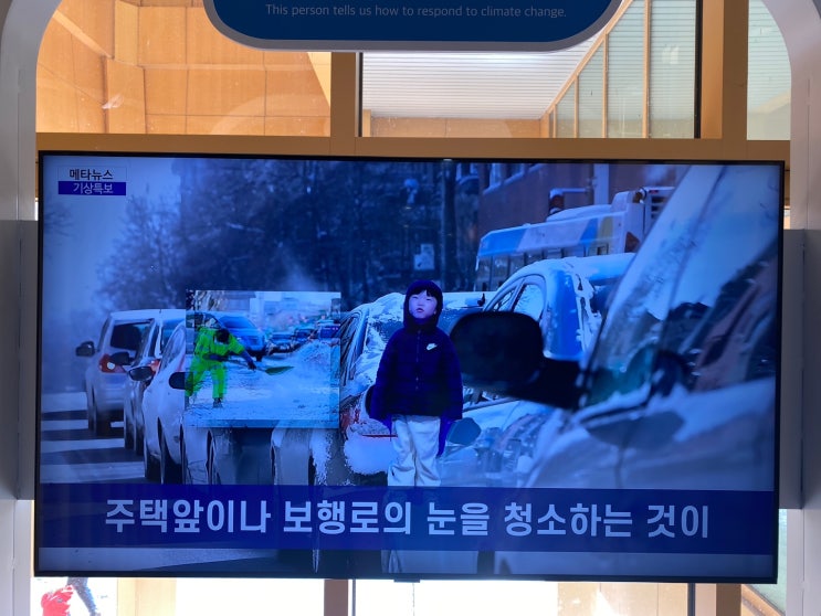 담양 호남 기후변화체험관 개구리 생태공원 담양 메타세쿼이아...