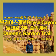브라이스 캐년 Bryce canyon 미서부 여행 트래킹 최고 장소 미대륙 횡단 17편
