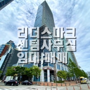 센텀사무실 월세 100이하 임대 [센텀리더스마크][큐비이센텀][퍼스트인센텀] 임대 051-745-9999