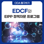 EDCF와 EIPP 정책자문 프로그램