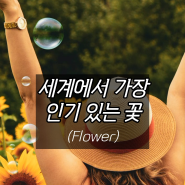 세계에서 가장 인기 있는 꽃(Flower) 순위
