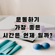 최고의 운동 타이밍: 어떤 시간이 운동하기 가장 효과적인가?