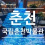 춘천) 24개월 아기랑 갈만한 곳 " 국립춘천박물관 "