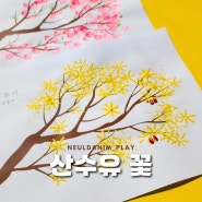 💛산수유 꽃 ,벚꽃🌸 봄 미술활동 (무료도안)