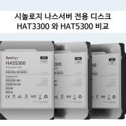시놀로지 나스서버 전용 디스크 HAT3300 와 HAT5300 비교
