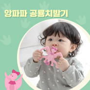 이앓이 해소 방법, 아기 장난감 '앙파파 공룡 치발기' 사용시기